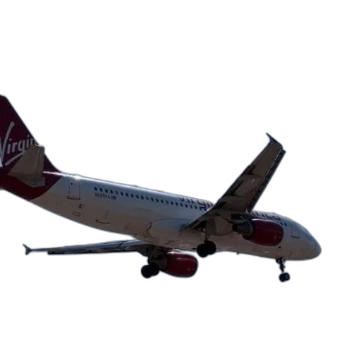staff, animal, 3d render, virgin transparent PNG cut-out
