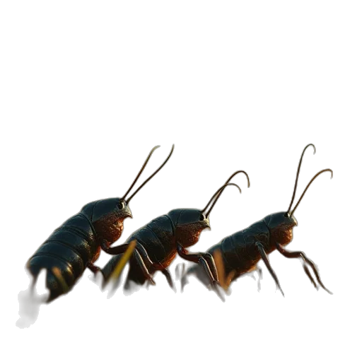 animal, creature, staff, robot transparent PNG cut-out
