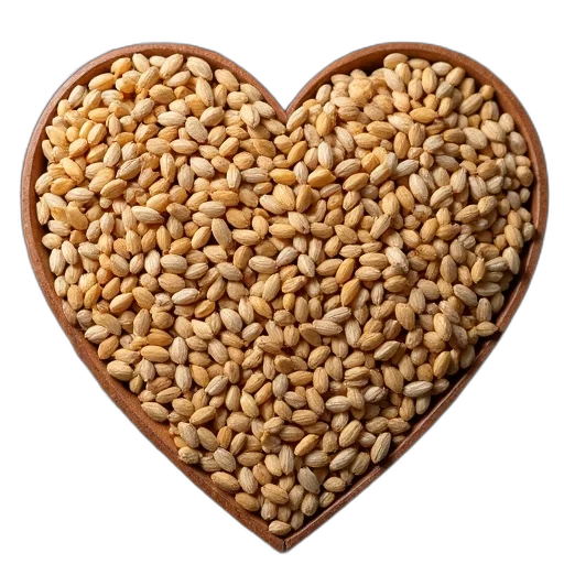 food, barley, grains, forming transparent PNG cut-out