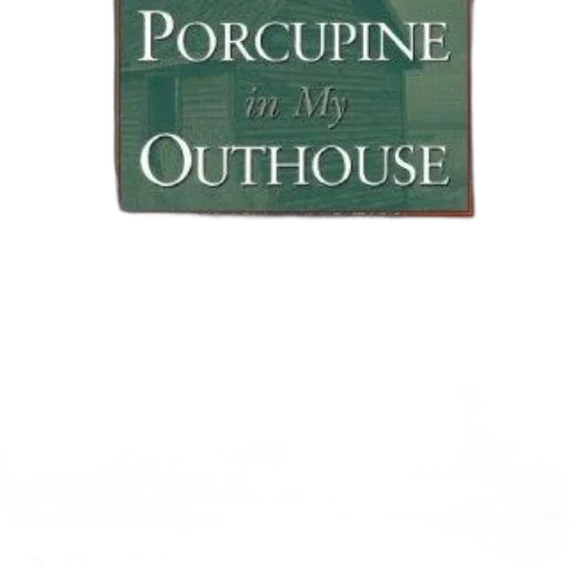 furniture, cover, porcupine, outhouse transparent PNG cut-out