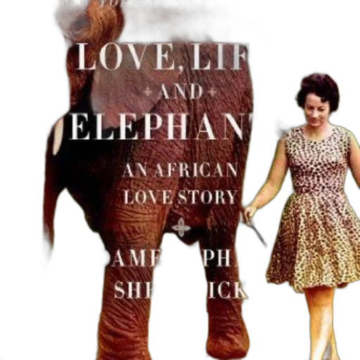 cover, love, life, elephants transparent PNG cut-out