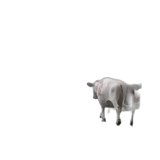 animal, creature, food, robot transparent PNG cut-out