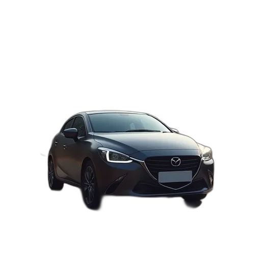 car, animal, staff, face transparent PNG cut-out