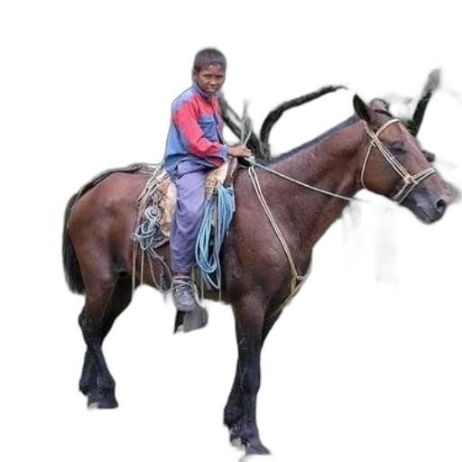 animal, staff, weapon, creature transparent PNG cut-out