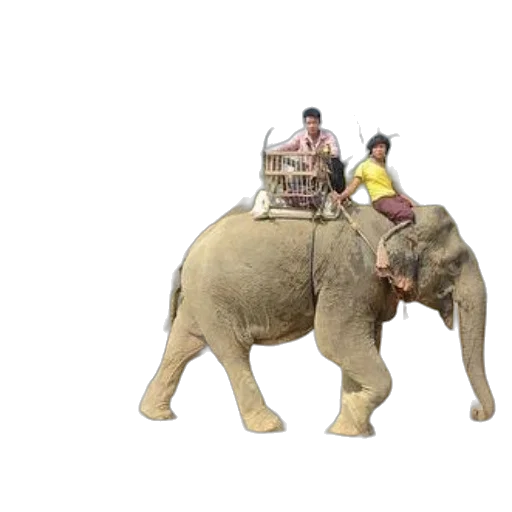 animal, creature, concept art, 3d render transparent PNG cut-out