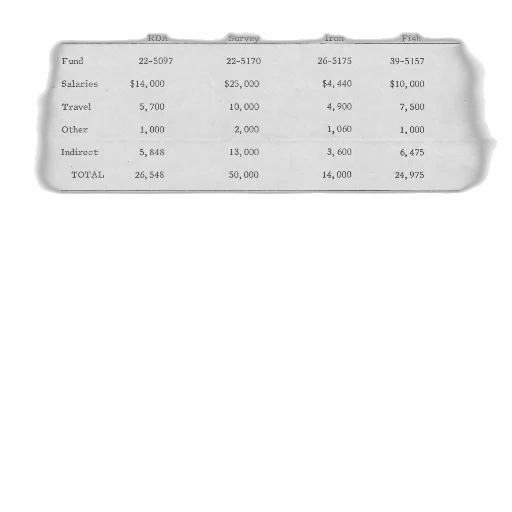 budget, sheet, four, columns transparent PNG cut-out