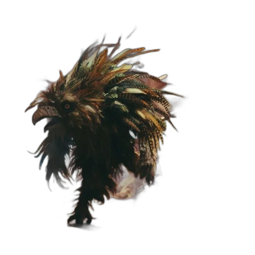 hair, animal, creature, hat transparent PNG cut-out