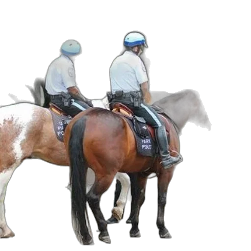 staff, animal, concept art, photorealistic transparent PNG cut-out