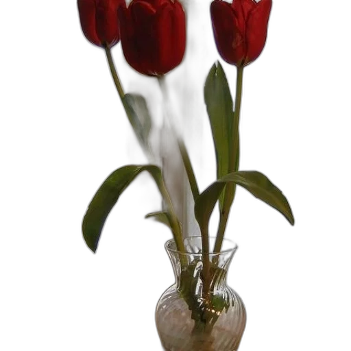 flower, crown, staff, jewelry transparent PNG cut-out