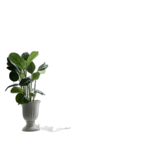 flower, bottle, staff, furniture transparent PNG cut-out