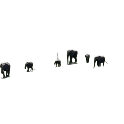 animal, jewelry, crown, creature transparent PNG cut-out