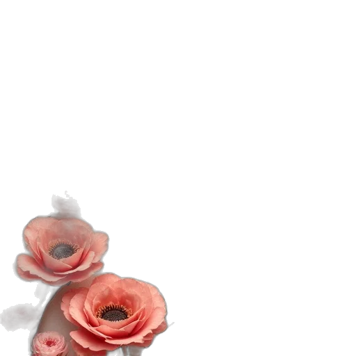 flower, jewelry, dress, crown transparent PNG cut-out
