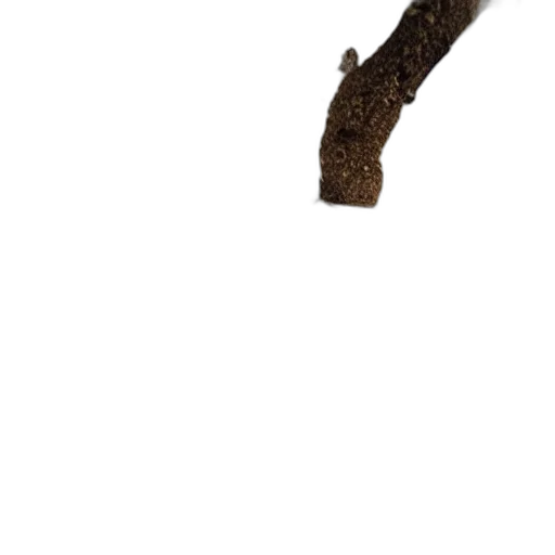 staff, sword, weapon, tree transparent PNG cut-out