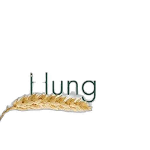 hair, food, jewelry, staff transparent PNG cut-out