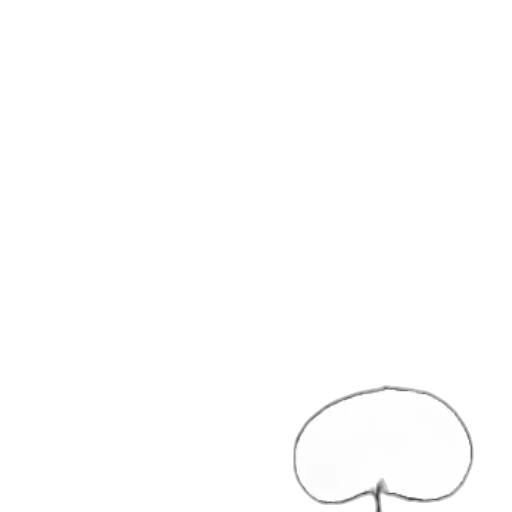 hair, hat, face, staff transparent PNG cut-out