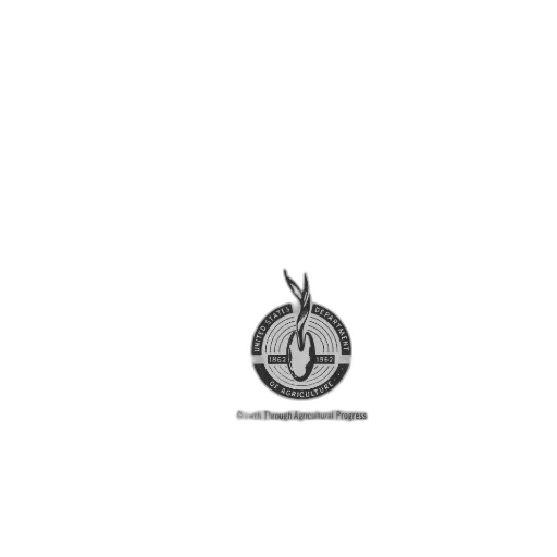staff, jewelry, jacket, animal transparent PNG cut-out
