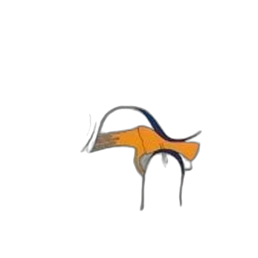 hat, hair, animal, umbrella transparent PNG cut-out