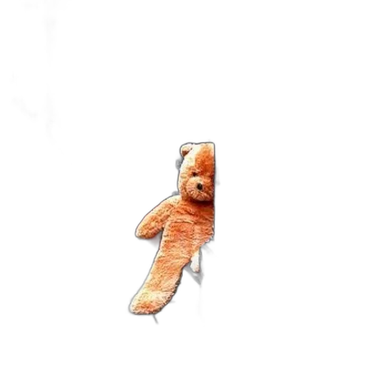 creature, animal, shoes, dress transparent PNG cut-out