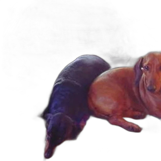 animal, creature, hair, staff transparent PNG cut-out