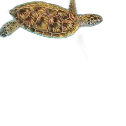 animal, creature, staff, jewelry transparent PNG cut-out