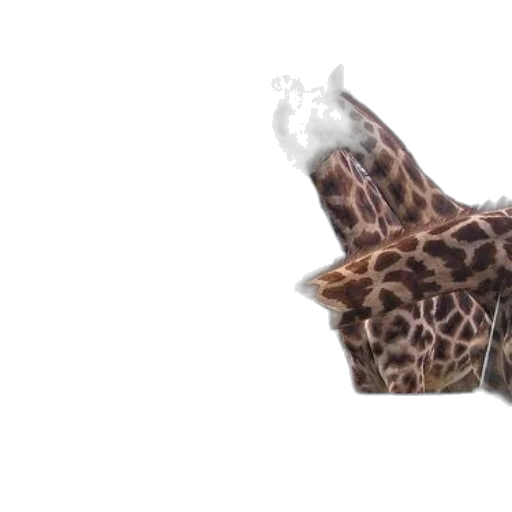 animal, shoes, creature, umbrella transparent PNG cut-out