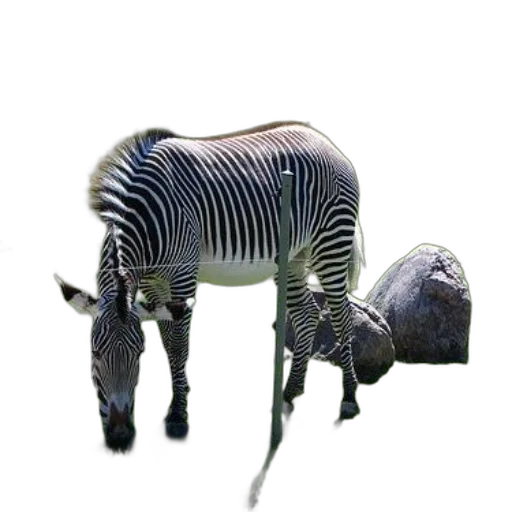 animal, creature, hat, robot transparent PNG cut-out