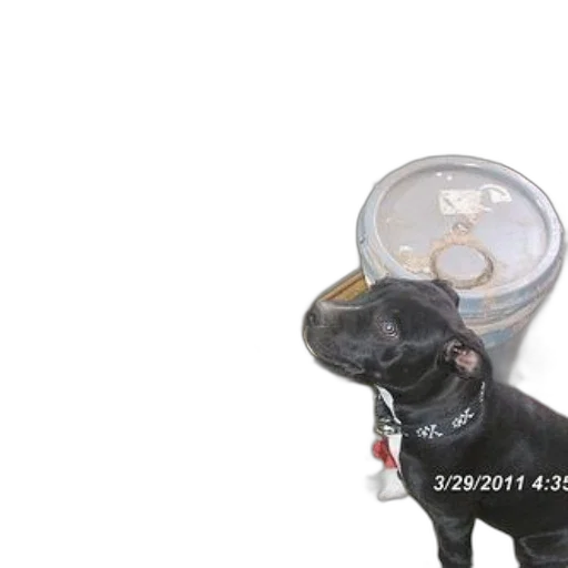 staff, robot, mask, bottle transparent PNG cut-out