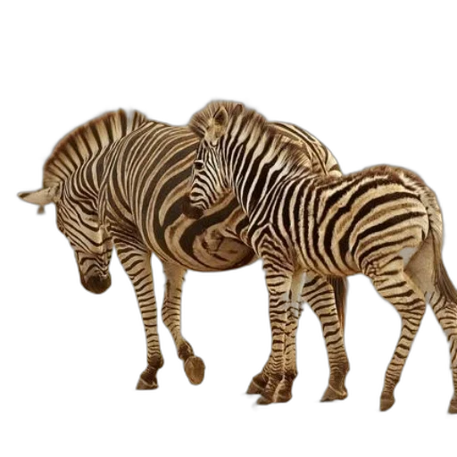 animal, furniture, creature, 3d render transparent PNG cut-out