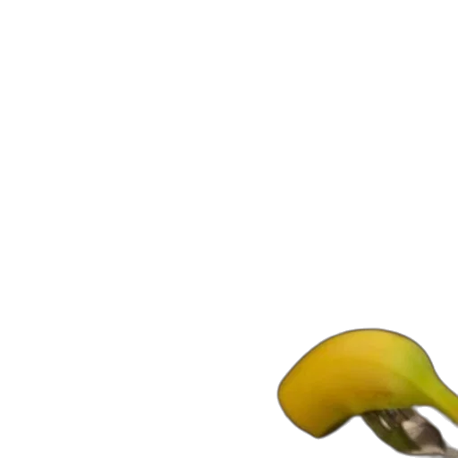 food, hat, shoes, staff transparent PNG cut-out