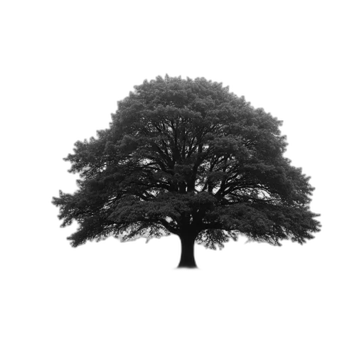 tree, crown, animal, dress transparent PNG cut-out