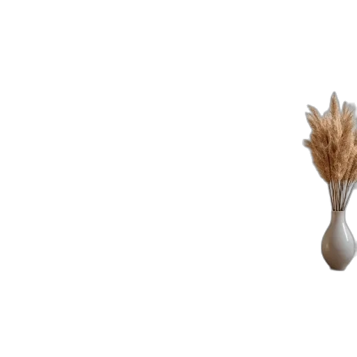 hair, mask, food, flower transparent PNG cut-out