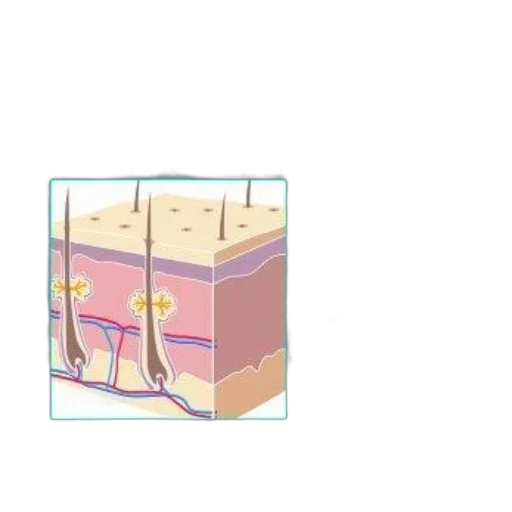 food, robot, furniture, shoes transparent PNG cut-out