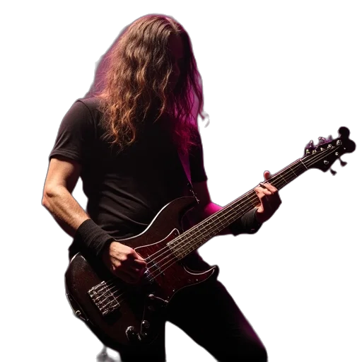 hair, animal, band, guitarist transparent PNG cut-out