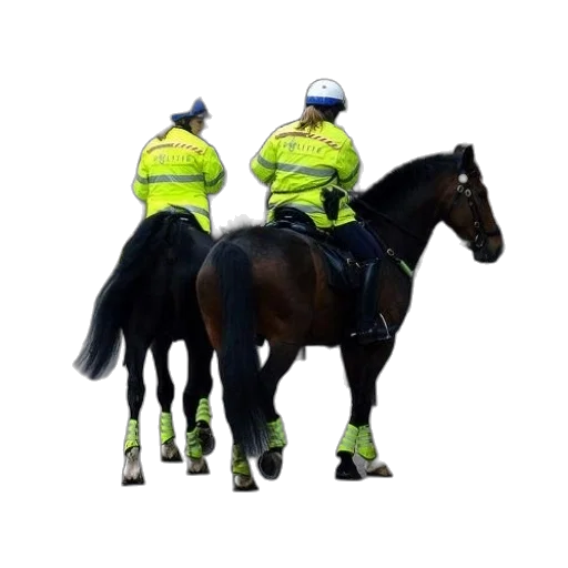 staff, animal, two, police transparent PNG cut-out