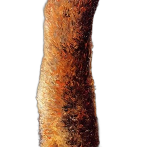 staff, hair, weapon, animal transparent PNG cut-out