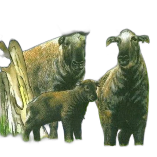 animal, concept art, watercolor, photorealistic transparent PNG cut-out