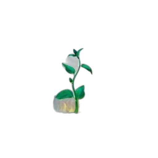 tree, flower, furniture, staff transparent PNG cut-out