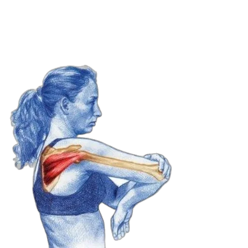 watercolor, prescriptive, stretching, eliminate transparent PNG cut-out
