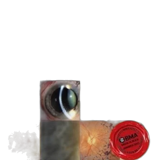 bottle, jewelry, weapon, staff transparent PNG cut-out