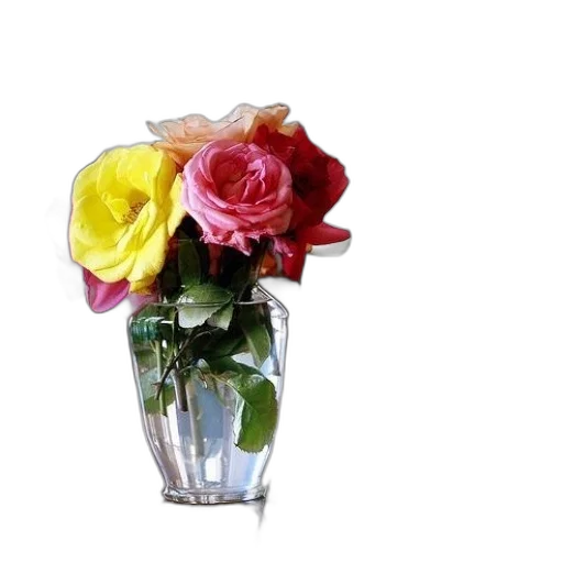 flower, crown, jewelry, bottle transparent PNG cut-out