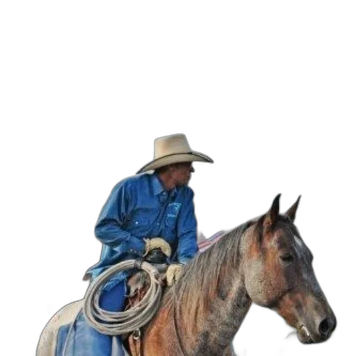 animal, jacket, hat, staff transparent PNG cut-out