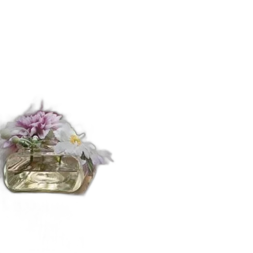 jewelry, crown, flower, bottle transparent PNG cut-out