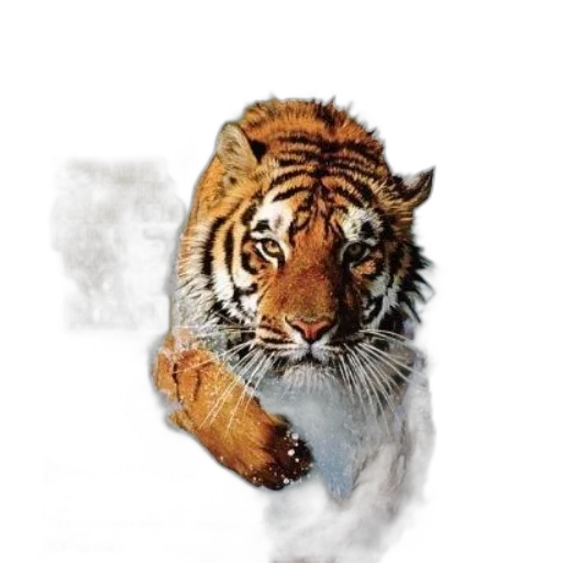 animal, creature, food, photorealistic transparent PNG cut-out