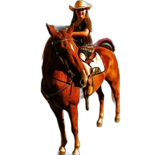 hat, staff, animal, concept art transparent PNG cut-out