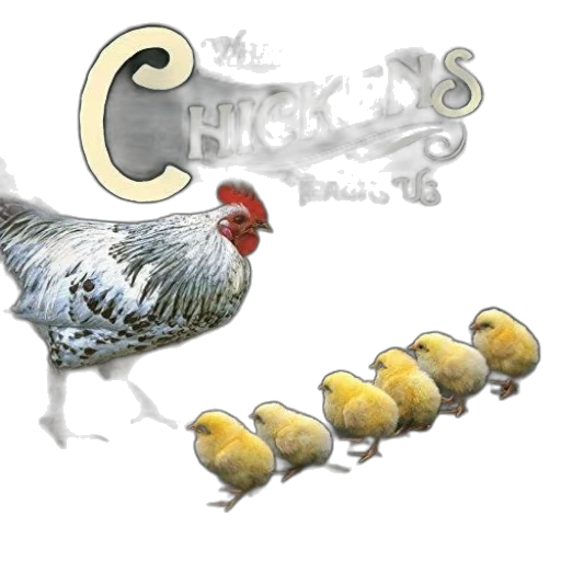 concept art, book, cover, chicken transparent PNG cut-out