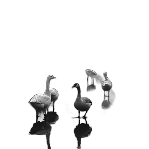 jewelry, furniture, animal, shoes transparent PNG cut-out