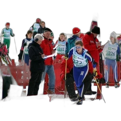 staff, snow, group, skiers transparent PNG cut-out