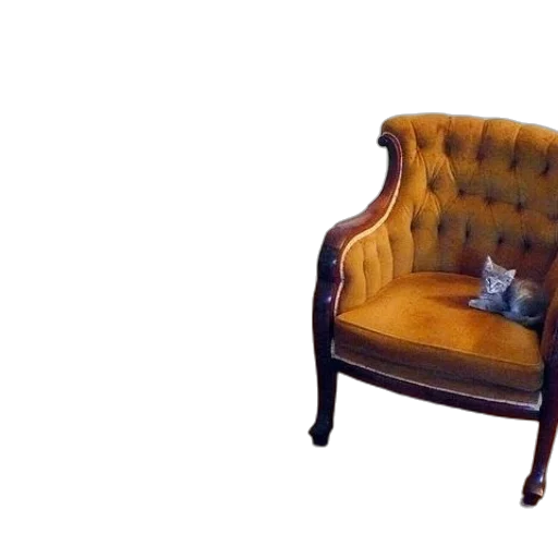 furniture, crown, bottle, animal transparent PNG cut-out