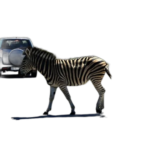 animal, car, robot, creature transparent PNG cut-out