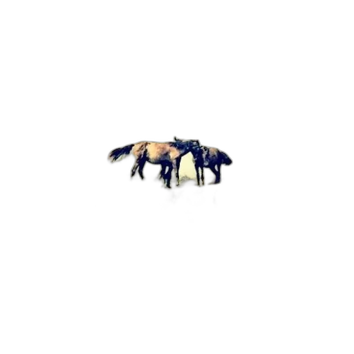 animal, dragon, creature, car transparent PNG cut-out